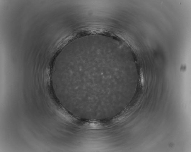 X0000097630506200803071534