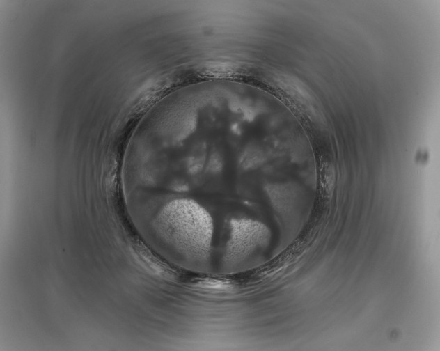 X0000097630507200803071534