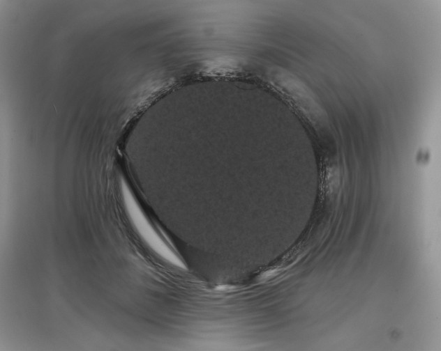 X0000097630508200803071534