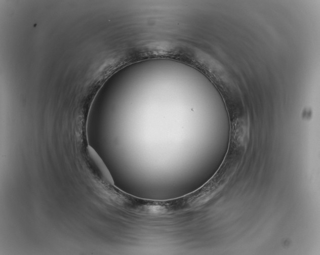 X0000097630509200803071534