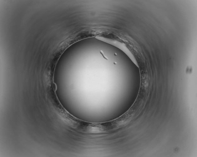 X0000097630510200803071534