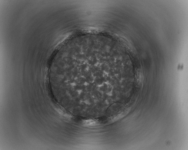 X0000097630511200803071534