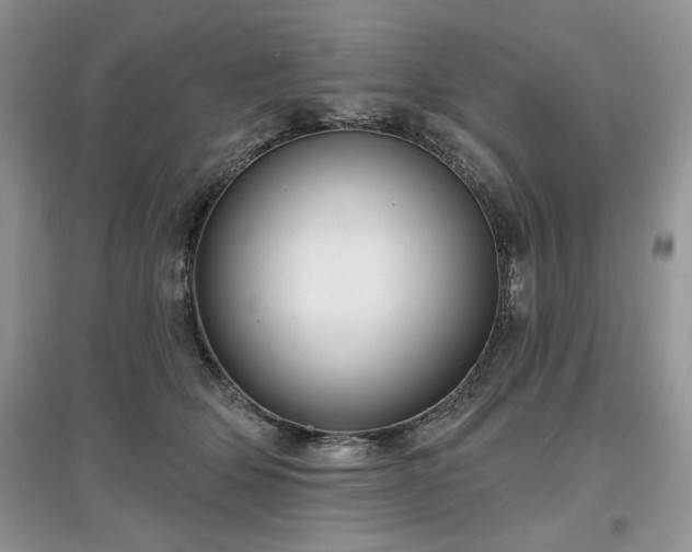 X0000097630514200803071533