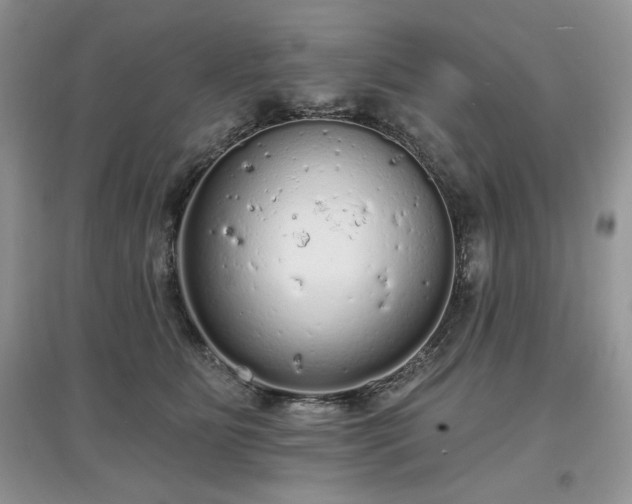 X0000097630515200803071533