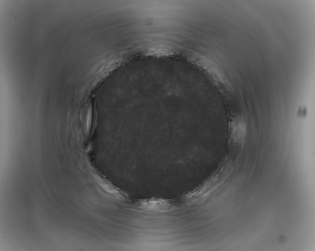 X0000097630517200803071533