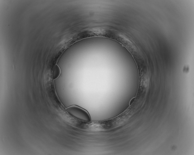 X0000097630518200803071533