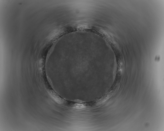 X0000097630519200803071533