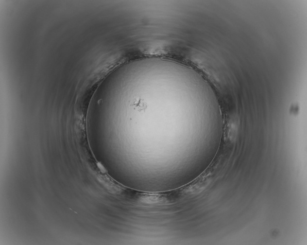 X0000097630521200803071533