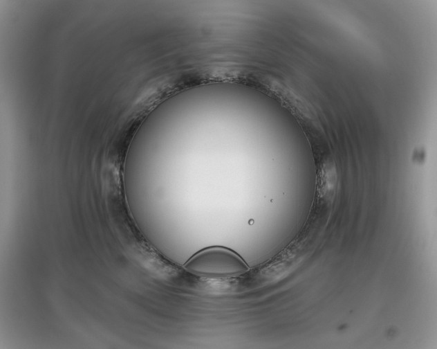 X0000097630522200803071533