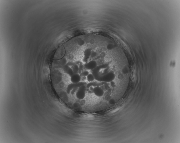 X0000097630523200803071533