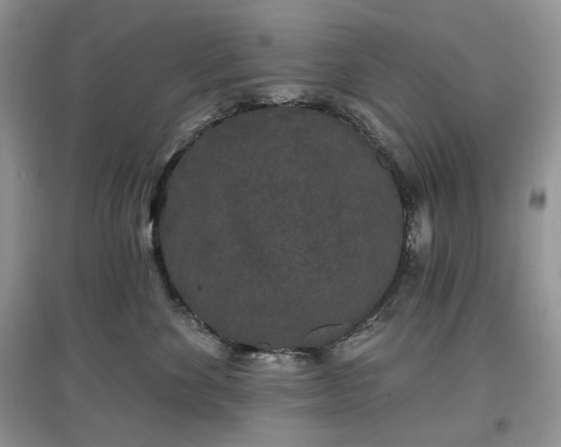 X0000097630524200803071533