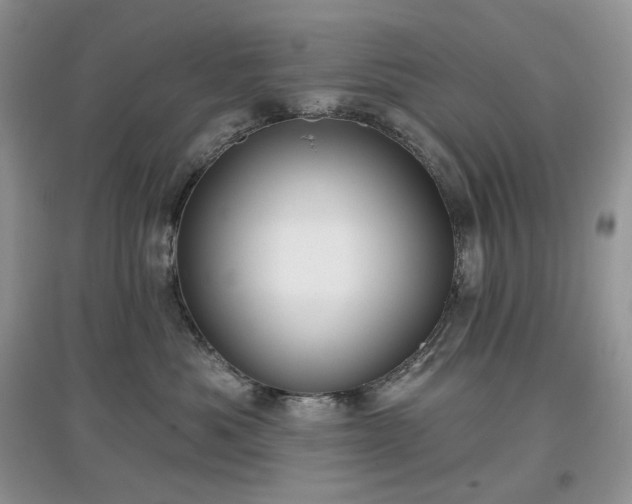 X0000097630525200803071533