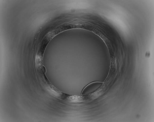 X0000097630526200803071533