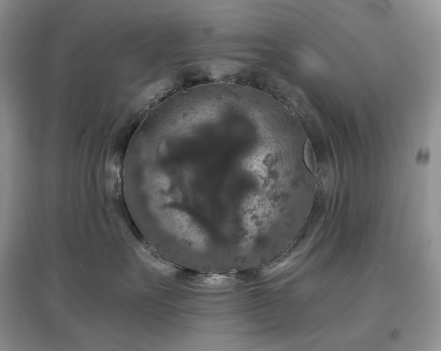 X0000097630527200803071533