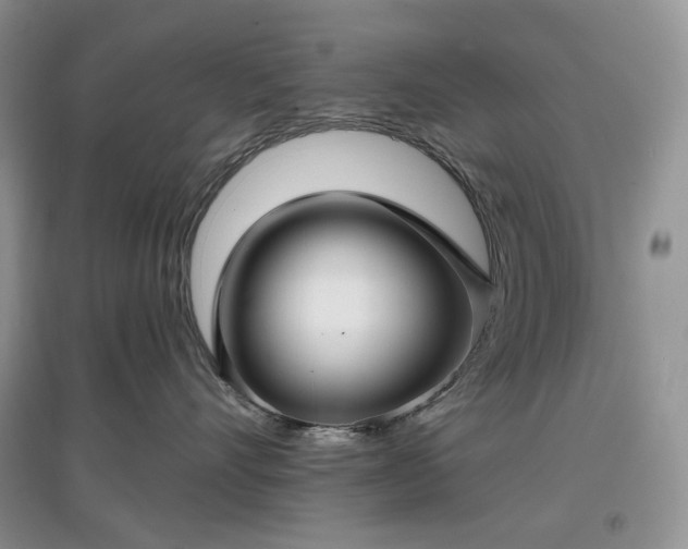 X0000097630528200803071533