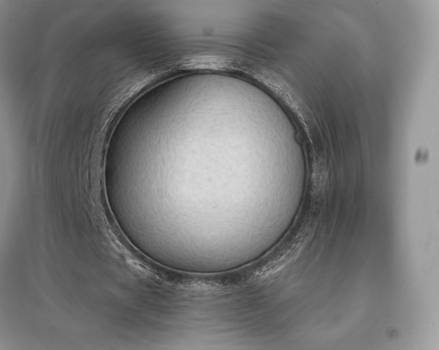 X0000097630529200803071533