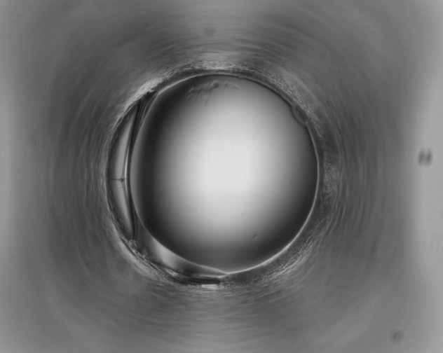 X0000097630530200803071533