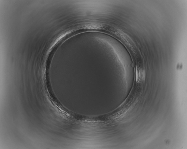 X0000097630531200803071533