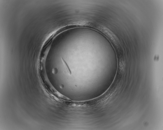 X0000097630532200803071533