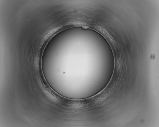 X0000097630533200803071533