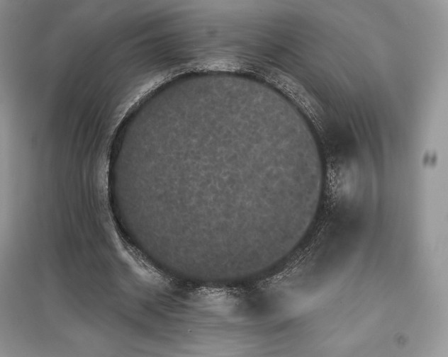 X0000097630534200803071533