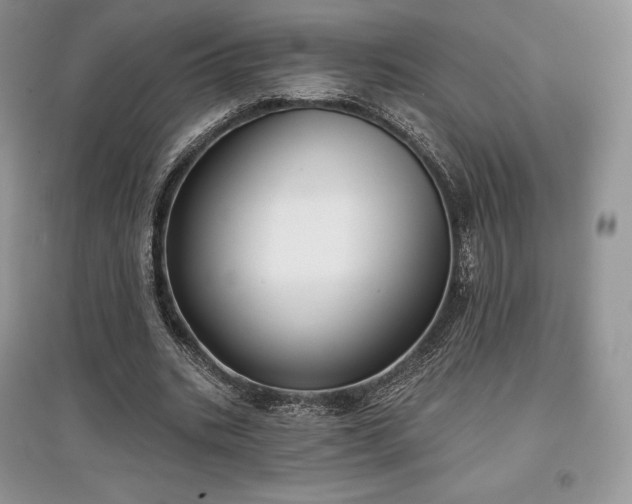 X0000097630535200803071533