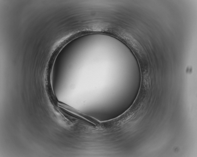 X0000097630536200803071533