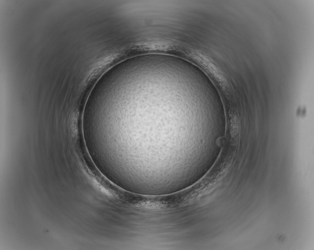 X0000097630537200803071533