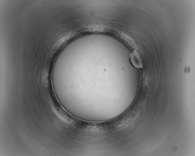 X0000097630538200803071533