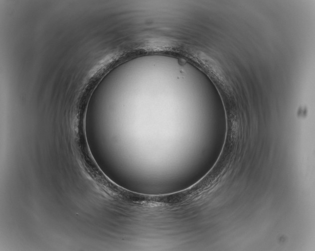 X0000097630539200803071533