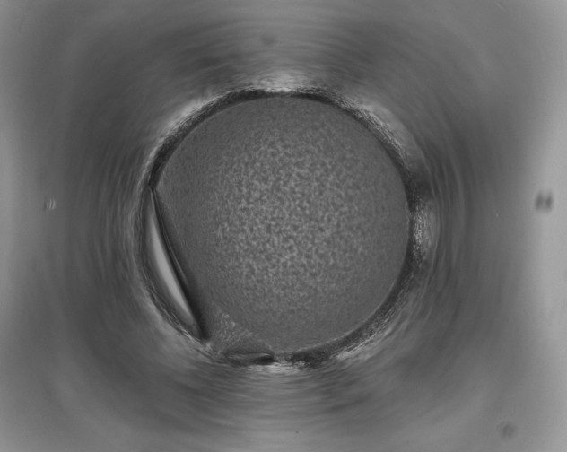 X0000097630540200803071533