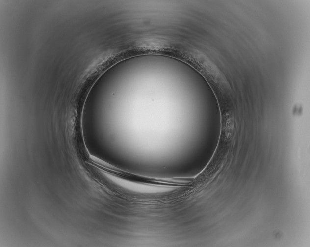 X0000097630544200803071533