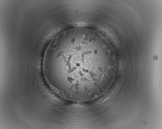 X0000097630545200803071533