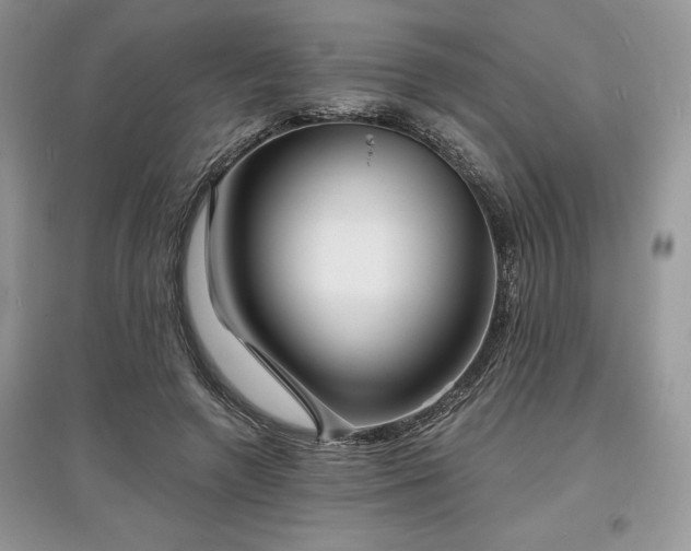 X0000097630546200803071533