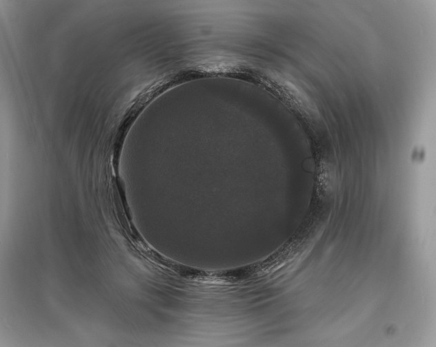 X0000097630547200803071533