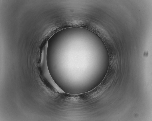 X0000097630548200803071533