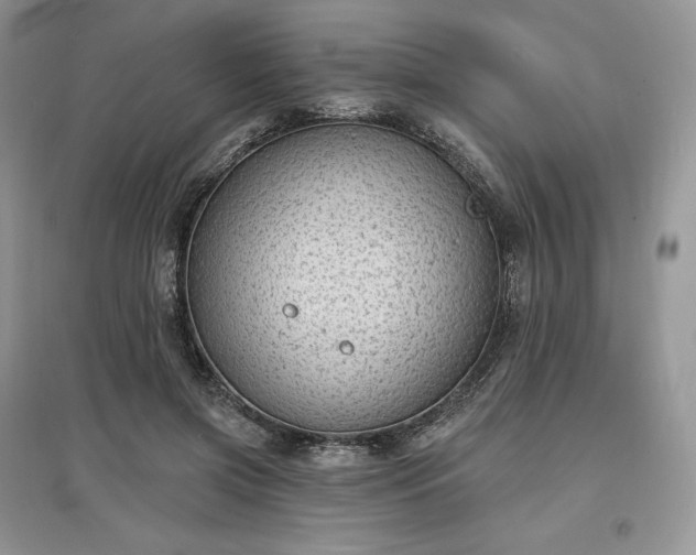 X0000097630549200803071533