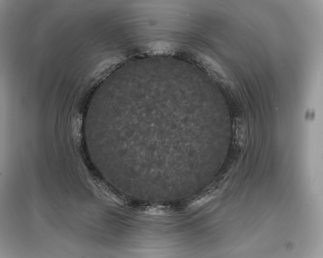 X0000097630550200803071533