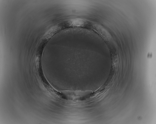 X0000097630551200803071533