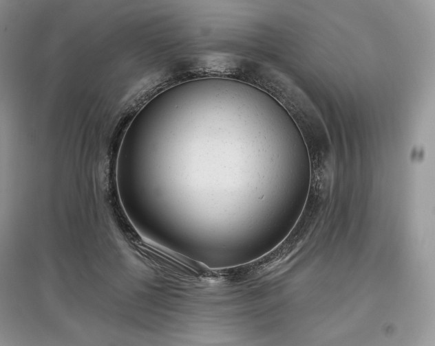 X0000097630552200803071533