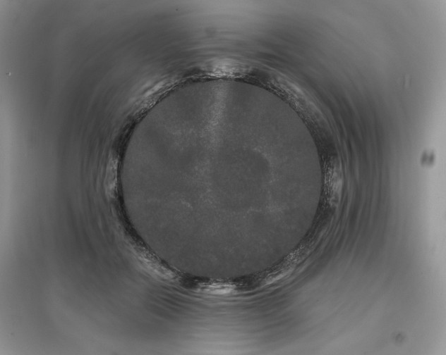 X0000097630554200803071533