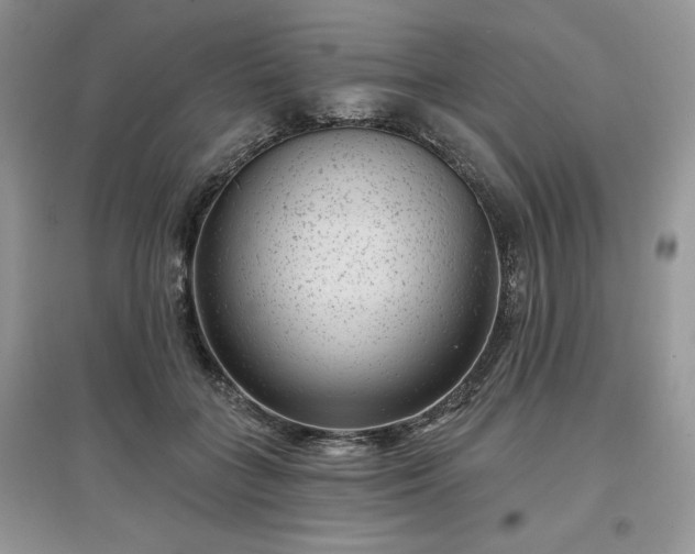 X0000097630555200803071533