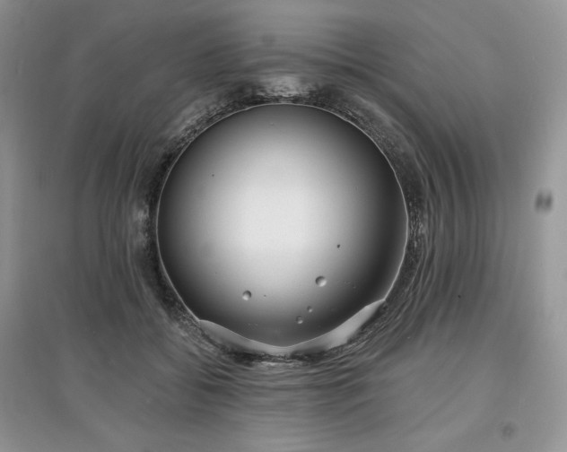 X0000097630556200803071533