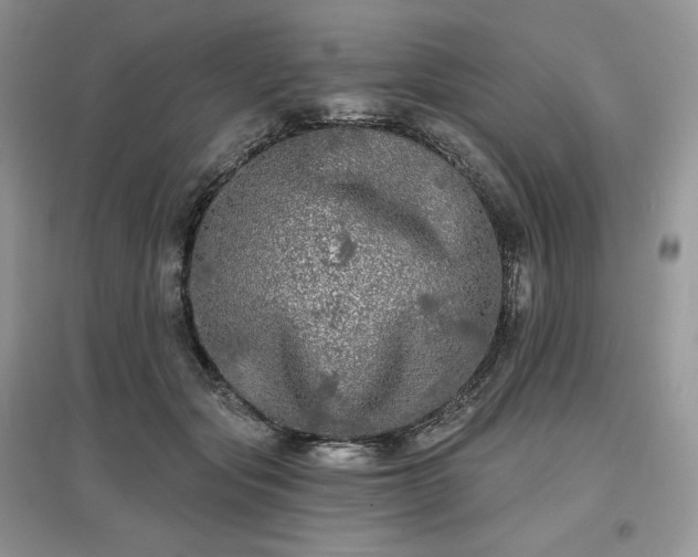 X0000097630557200803071533