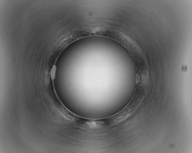 X0000097630558200803071533