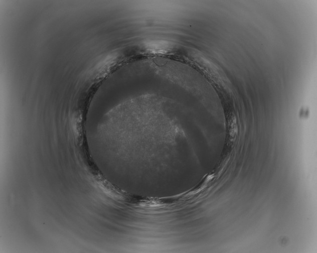 X0000097630559200803071533