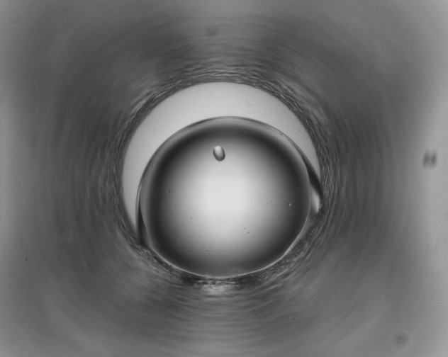 X0000097630560200803071533