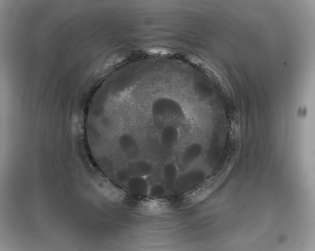 X0000097630561200803071533