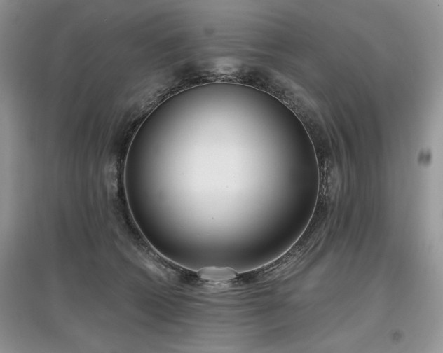 X0000097630562200803071533