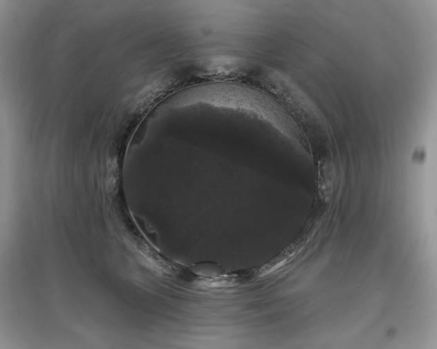 X0000097630563200803071533